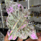 Aura Sphalerite Angel / Fairy