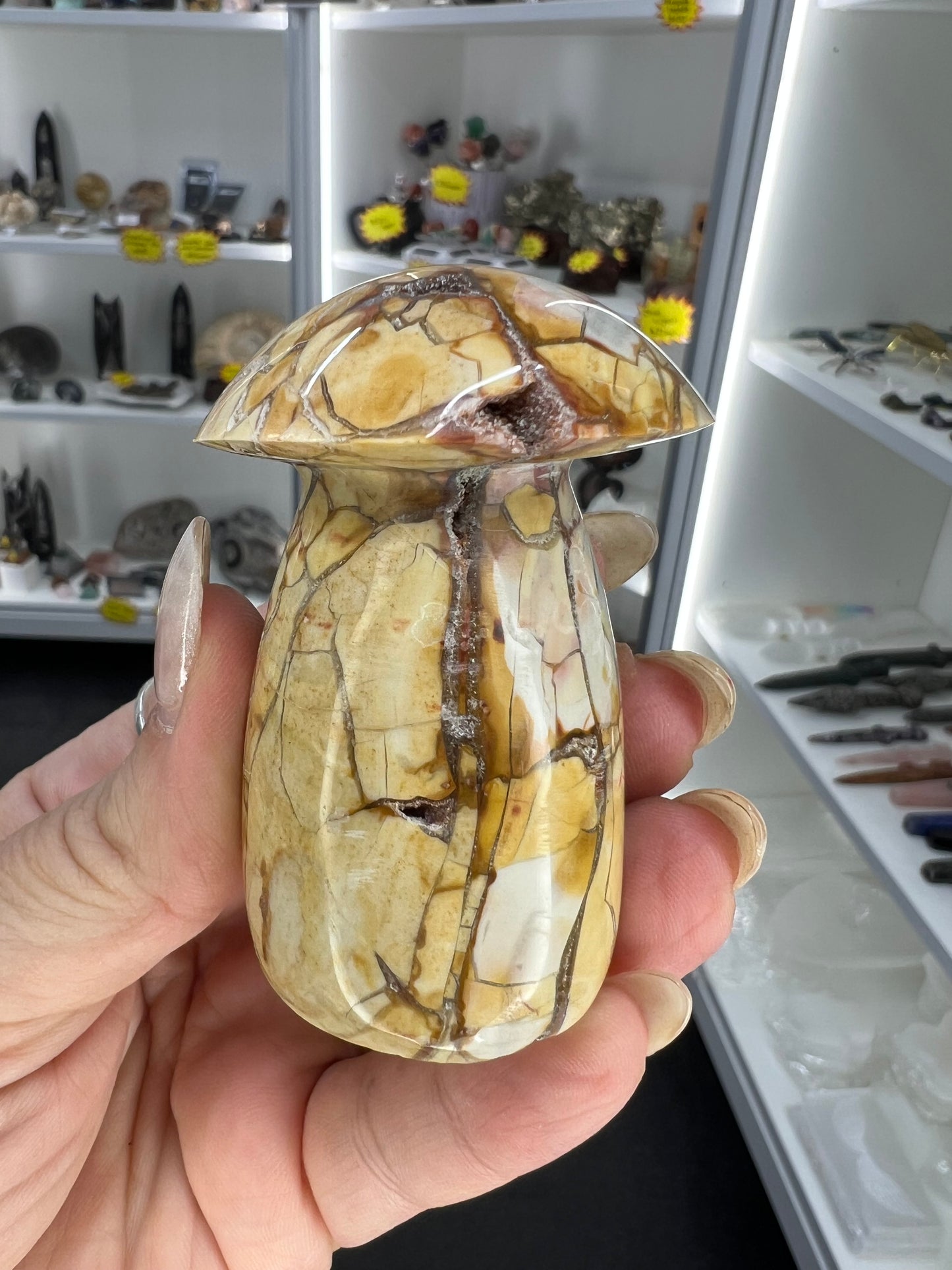 Ocean Jasper Mushroom