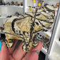 Picture Jasper Elephant