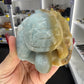 Caribbean Calcite Turtle