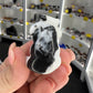 Zebra Jasper Cow