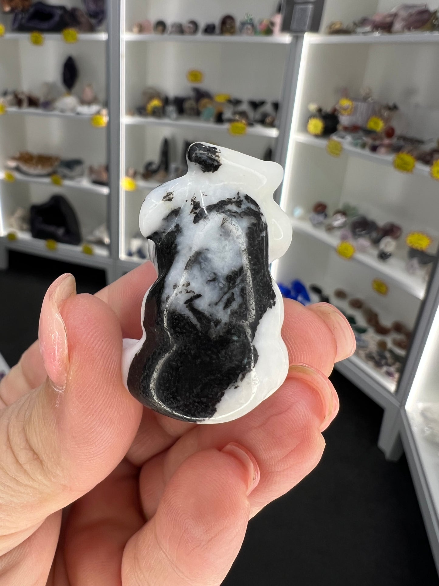 Zebra Jasper Cow