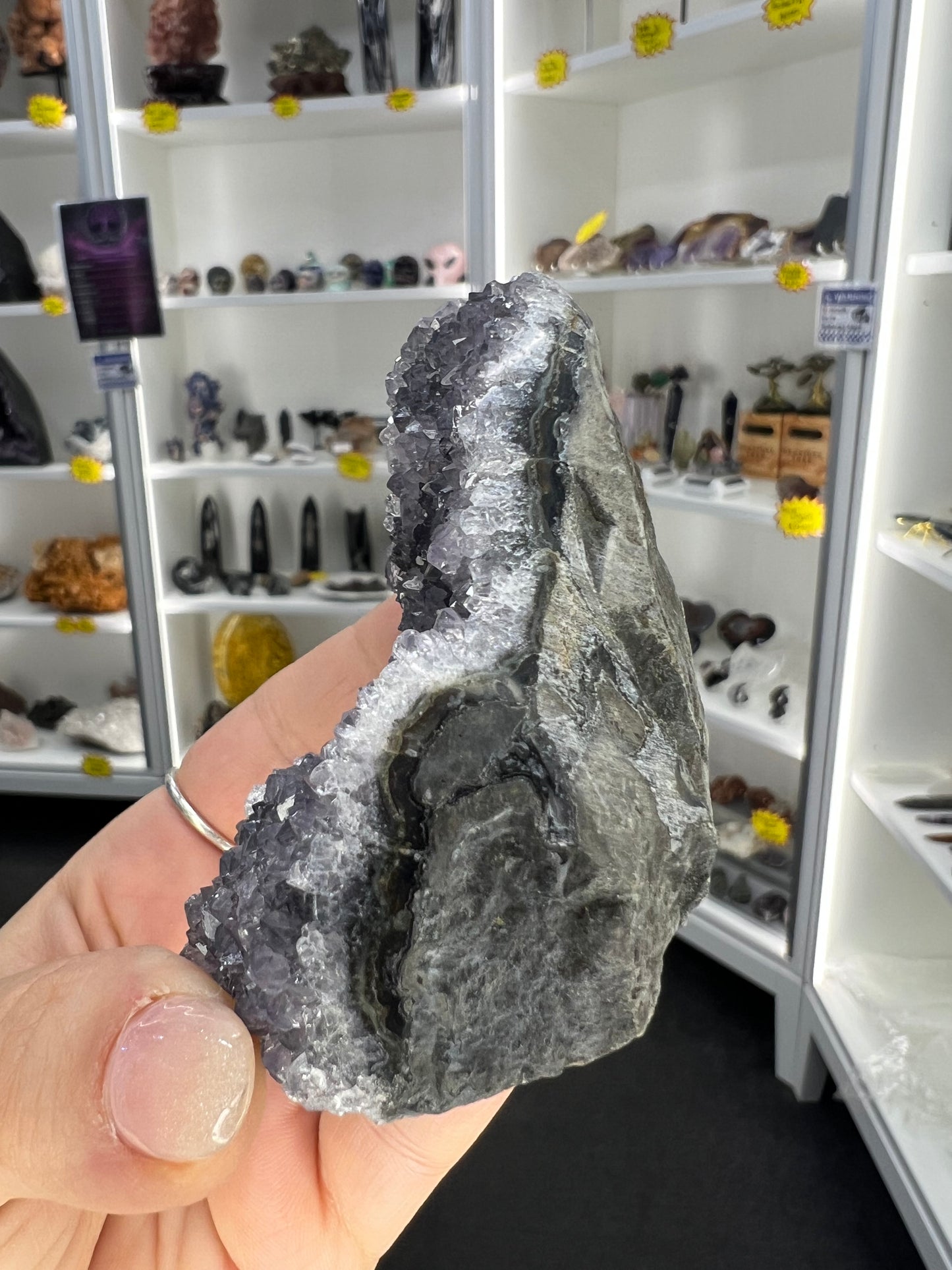 Amethyst Cluster Specimen
