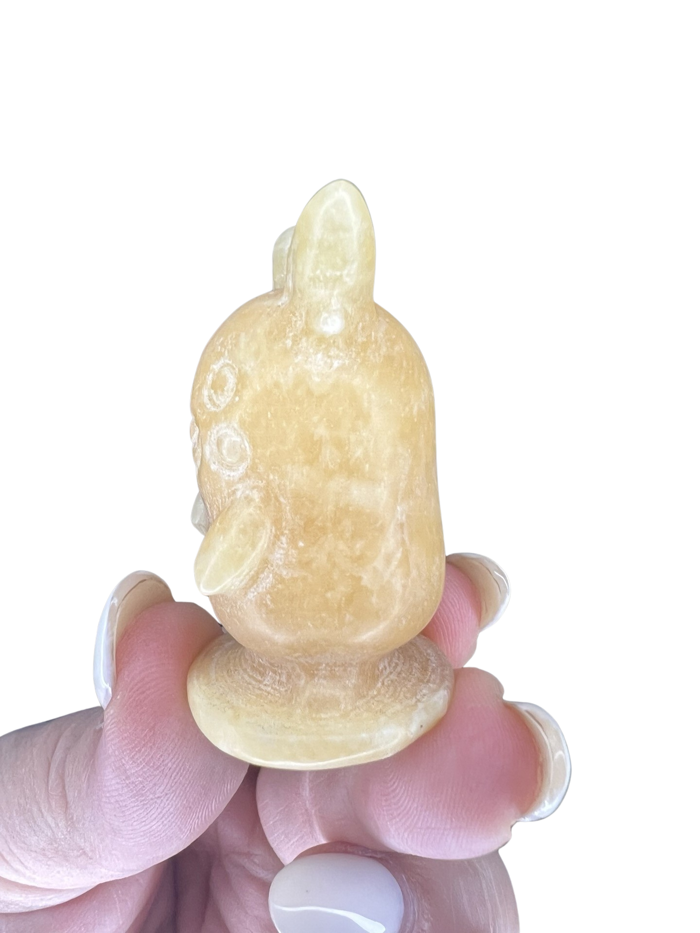 Honey Calcite Pokemon Character
