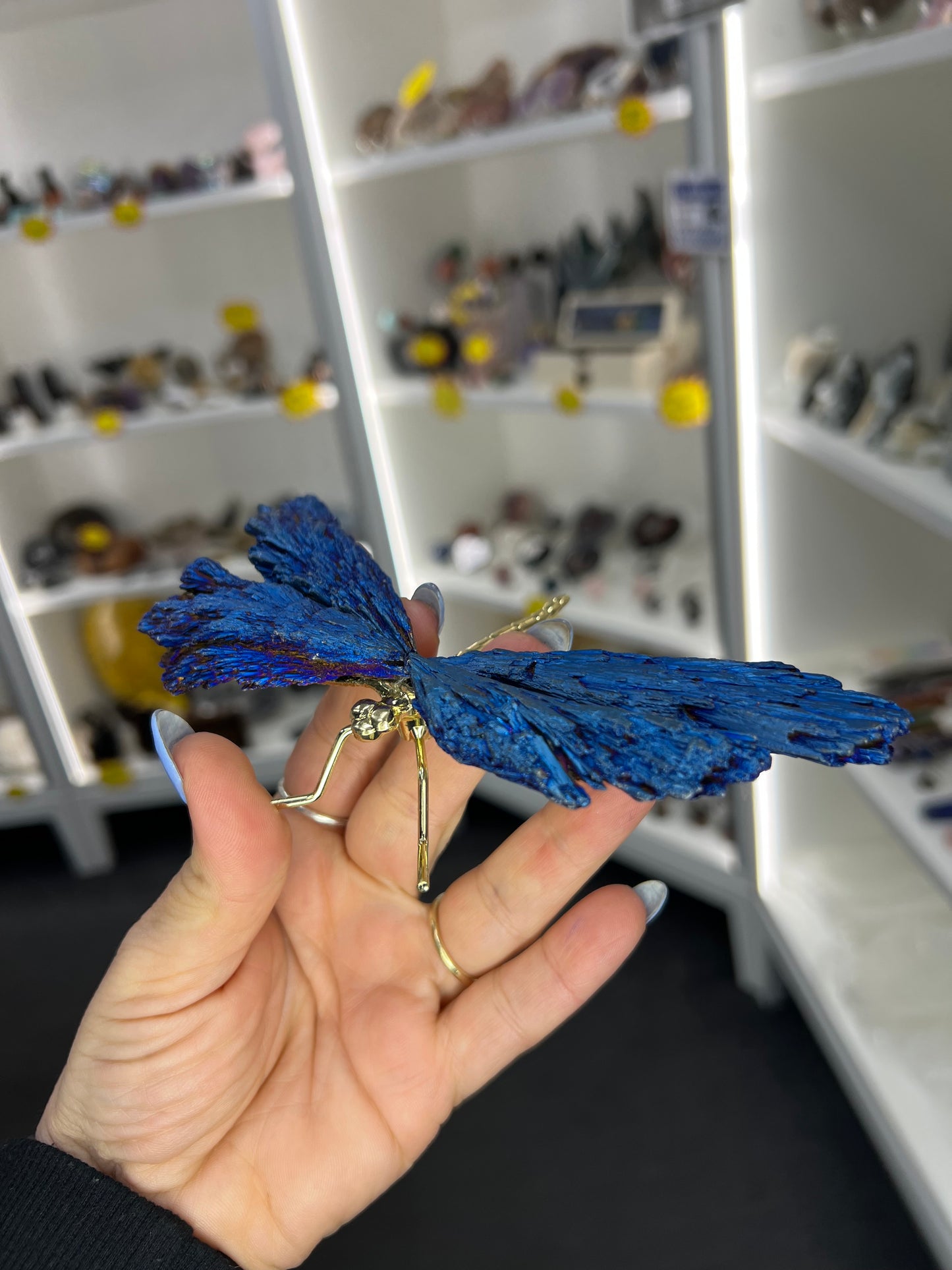 Blue Aura Kyanite Dragonfly