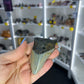 Megalodon Tooth