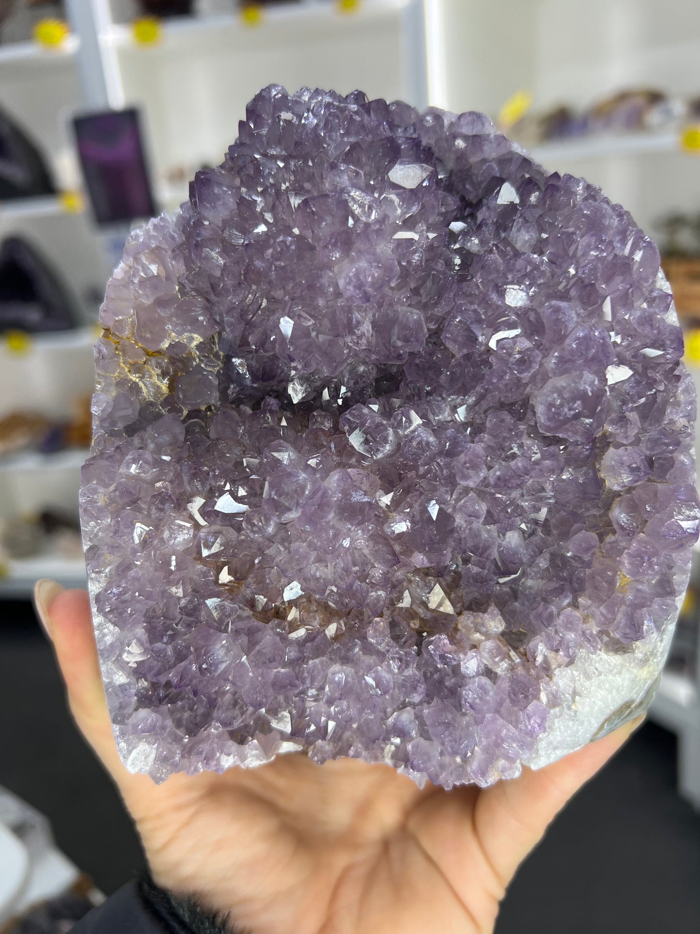 Amethyst Cluster Specimen