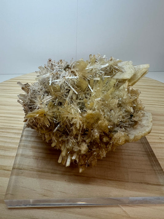 Gypsum / Selenite Specimen