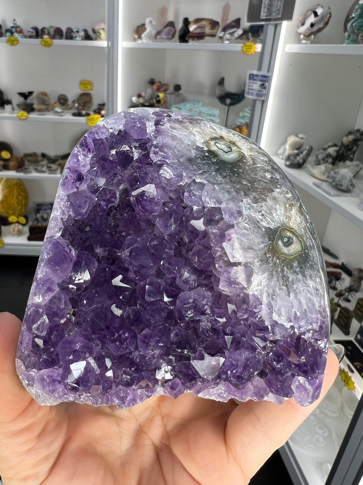 Amethyst Cluster Specimen