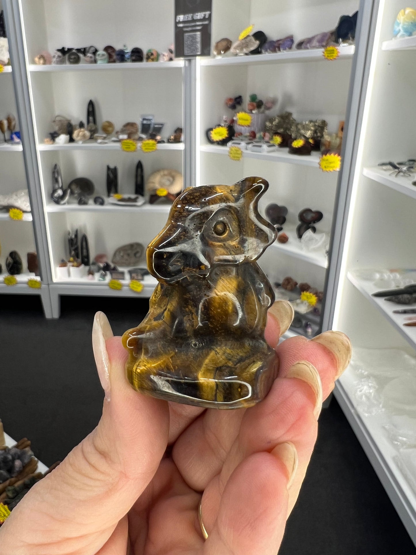 Tigers Eye Character Carving
