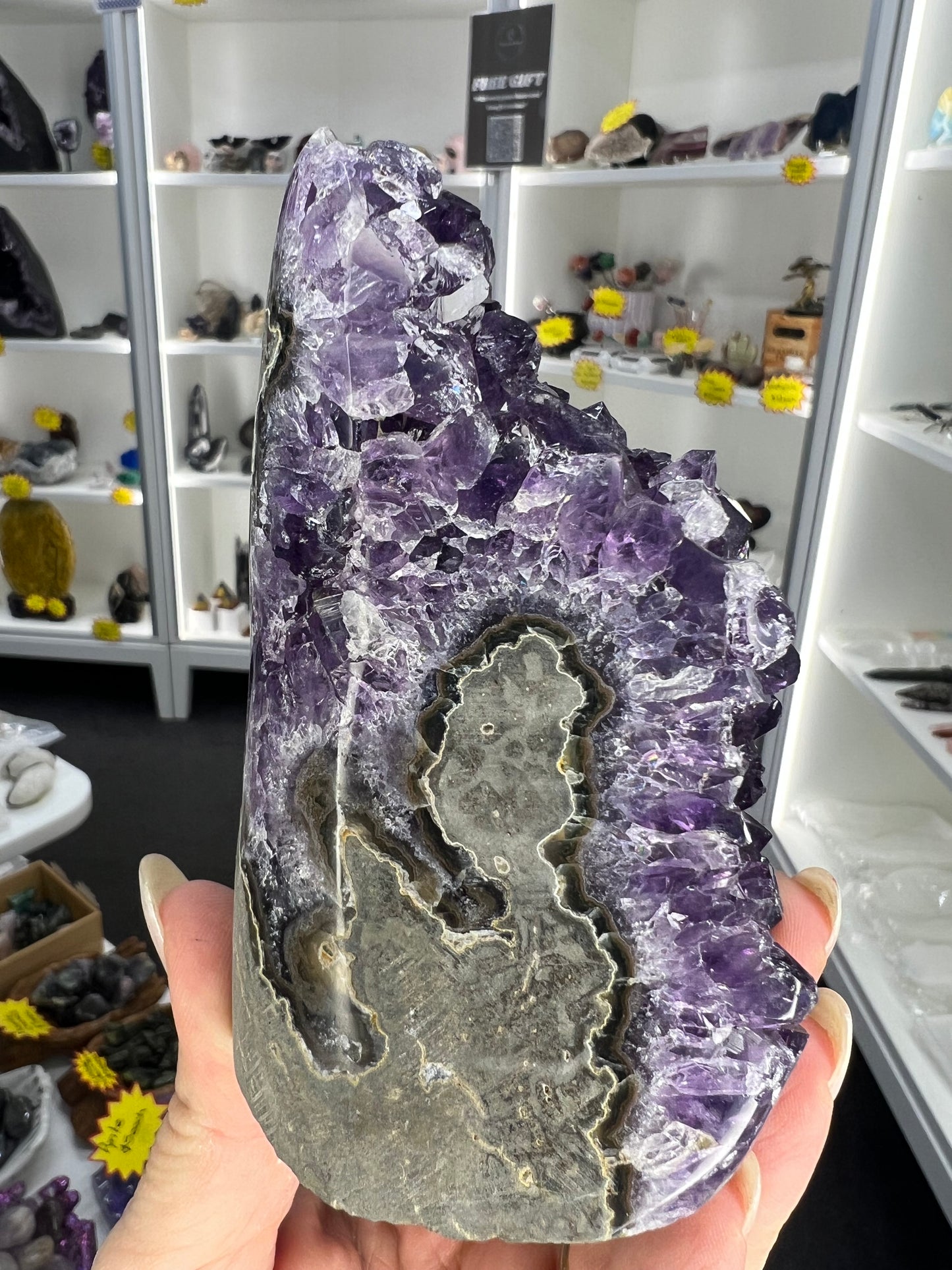 Amethyst Cluster Specimen