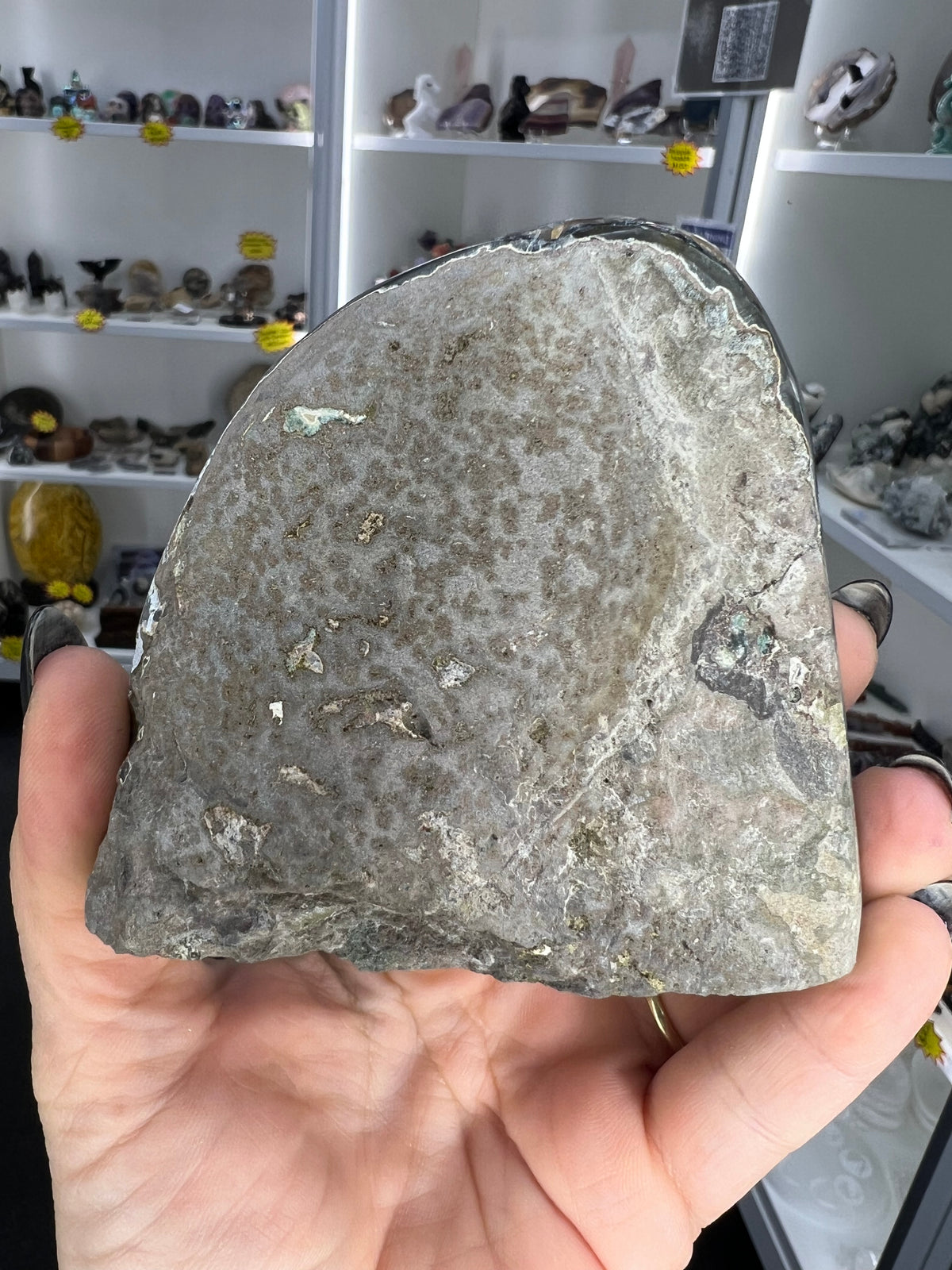 Amethyst Cluster Specimen