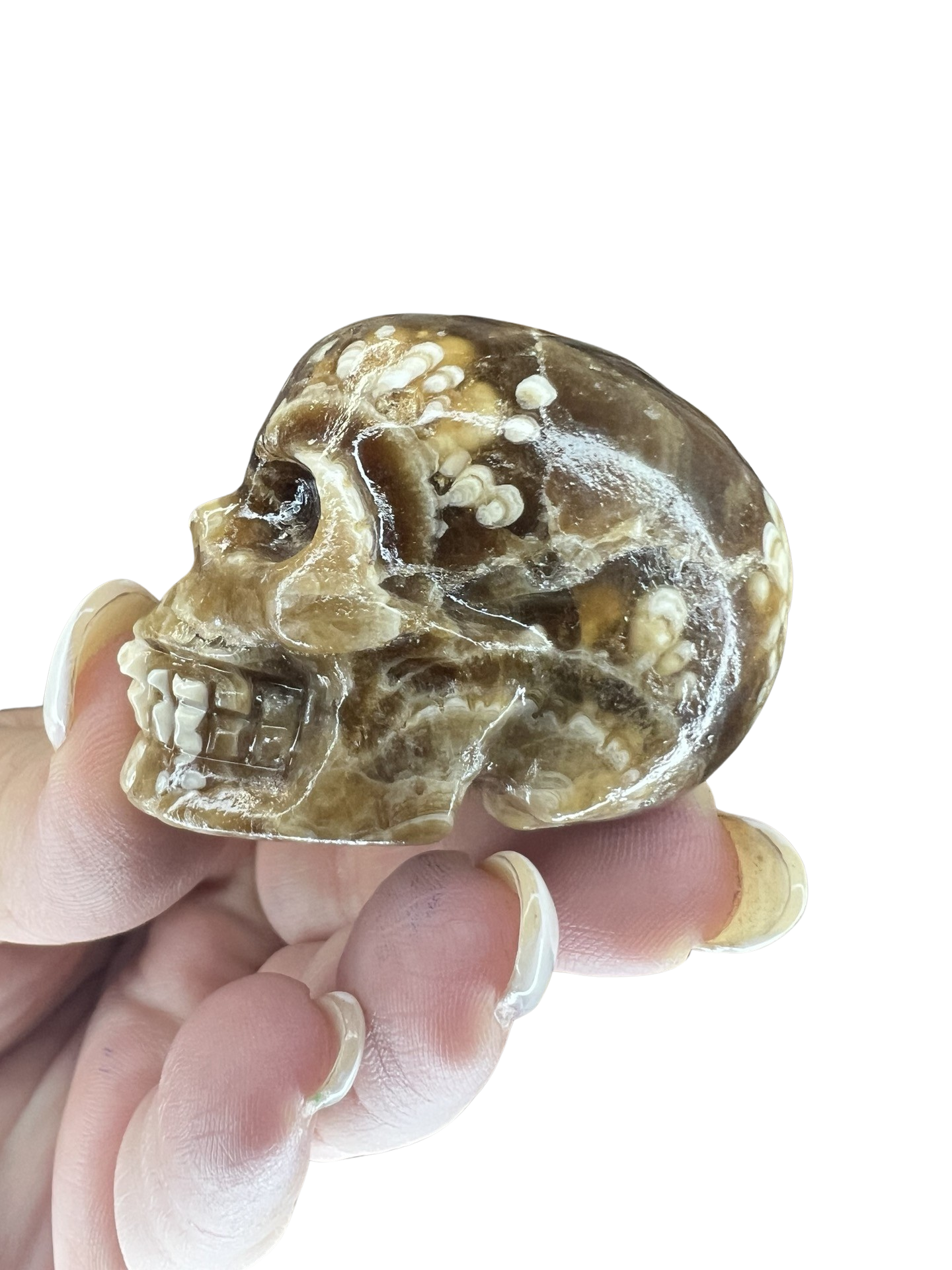 Chocolate Calcite Skull
