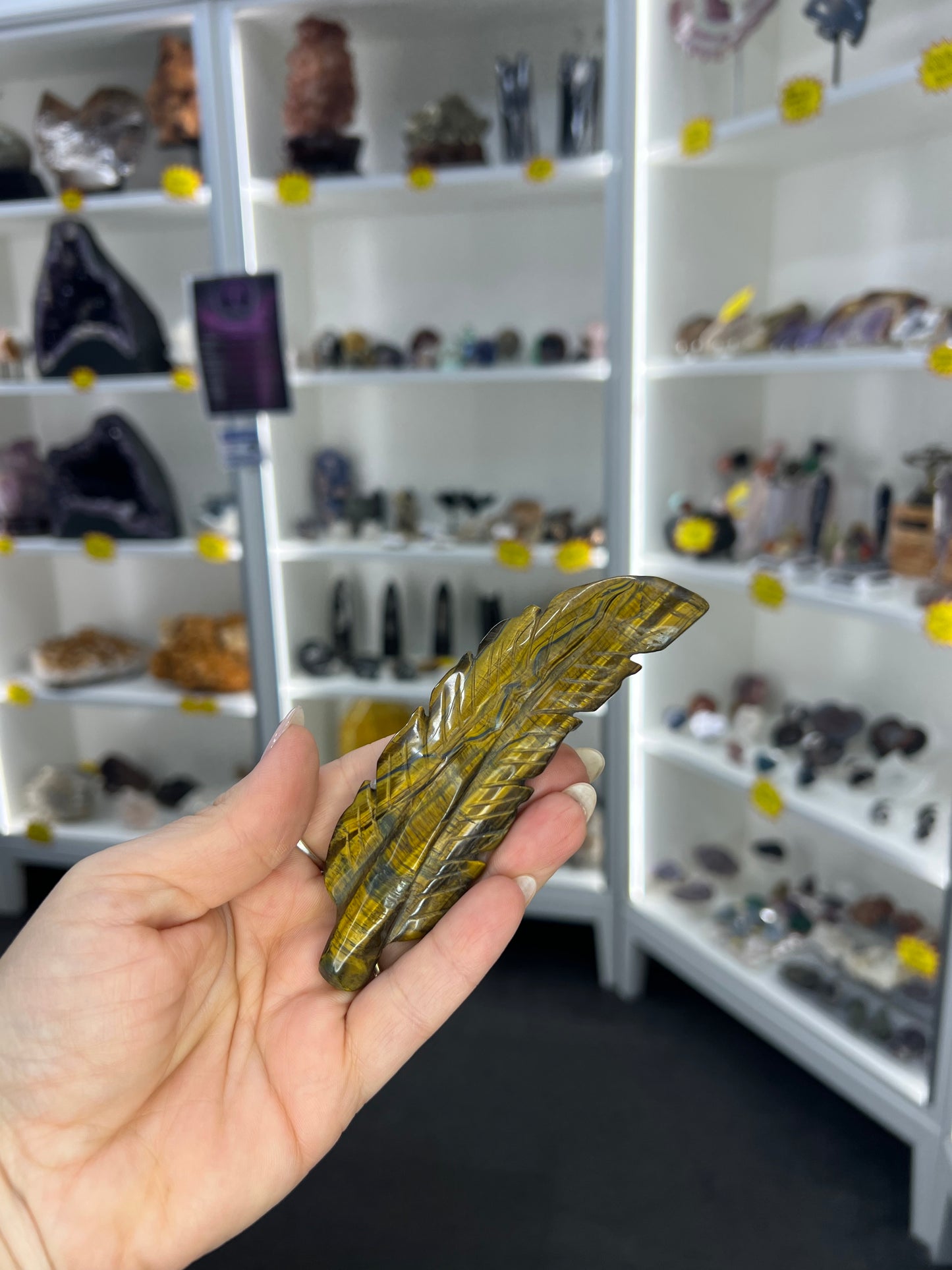 Tigers Eye Feather