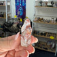 Mexican Lace Agate Dinosaur Head