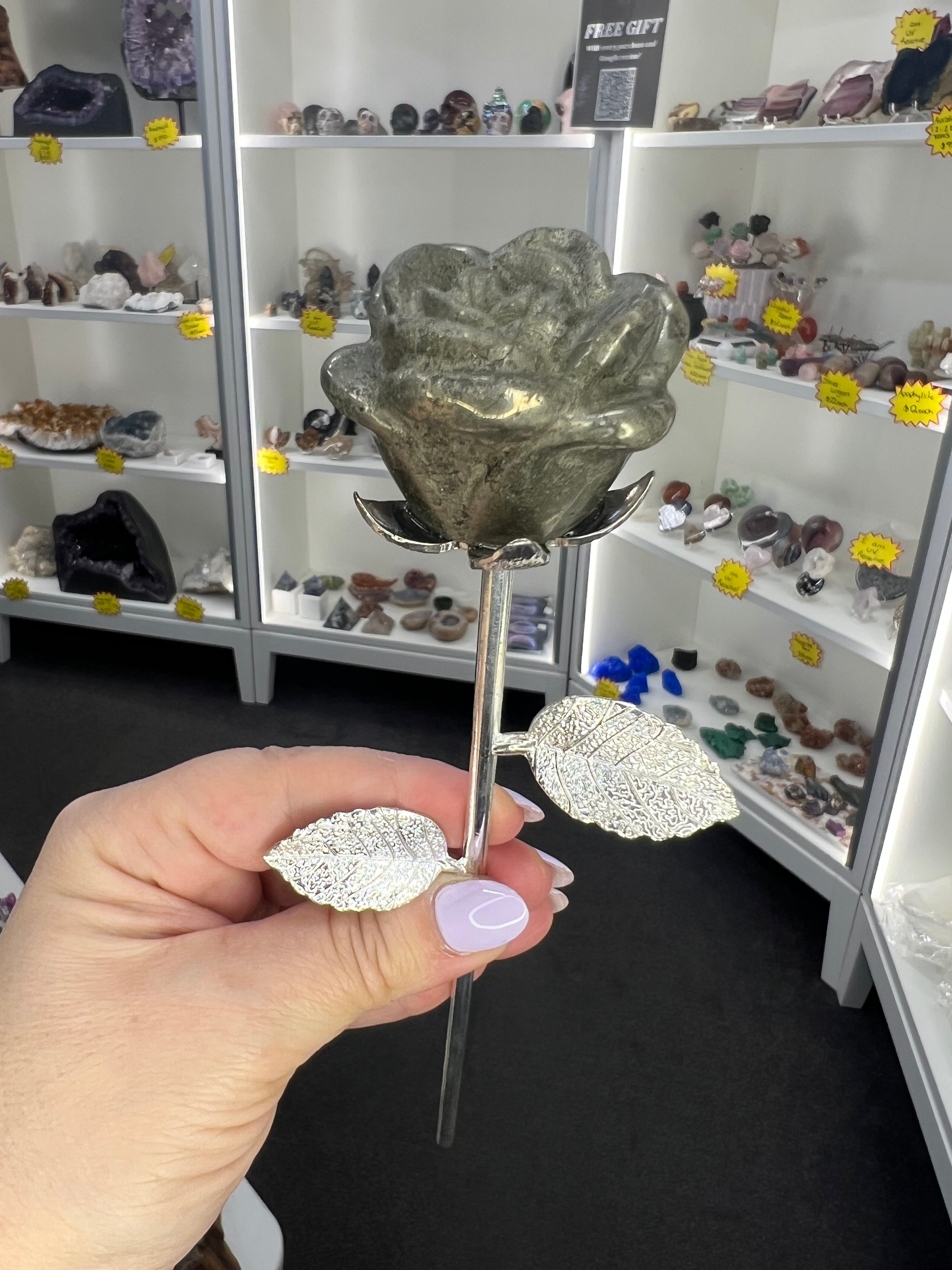 Pyrite Forever Rose – MW Crystal House