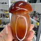 Carnelian Mushroom