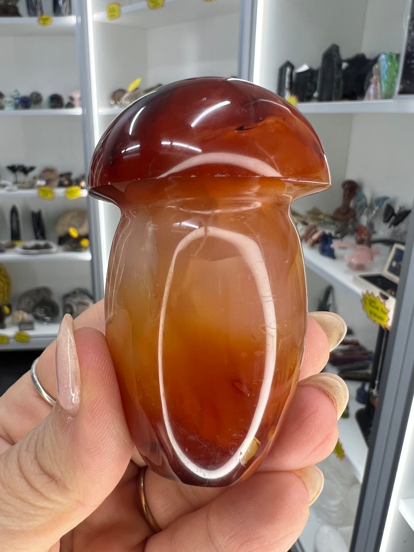 Carnelian Mushroom