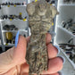 Jimbacriinus Bostocki Crinoid in Matrix