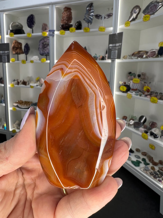 Carnelian Freeform