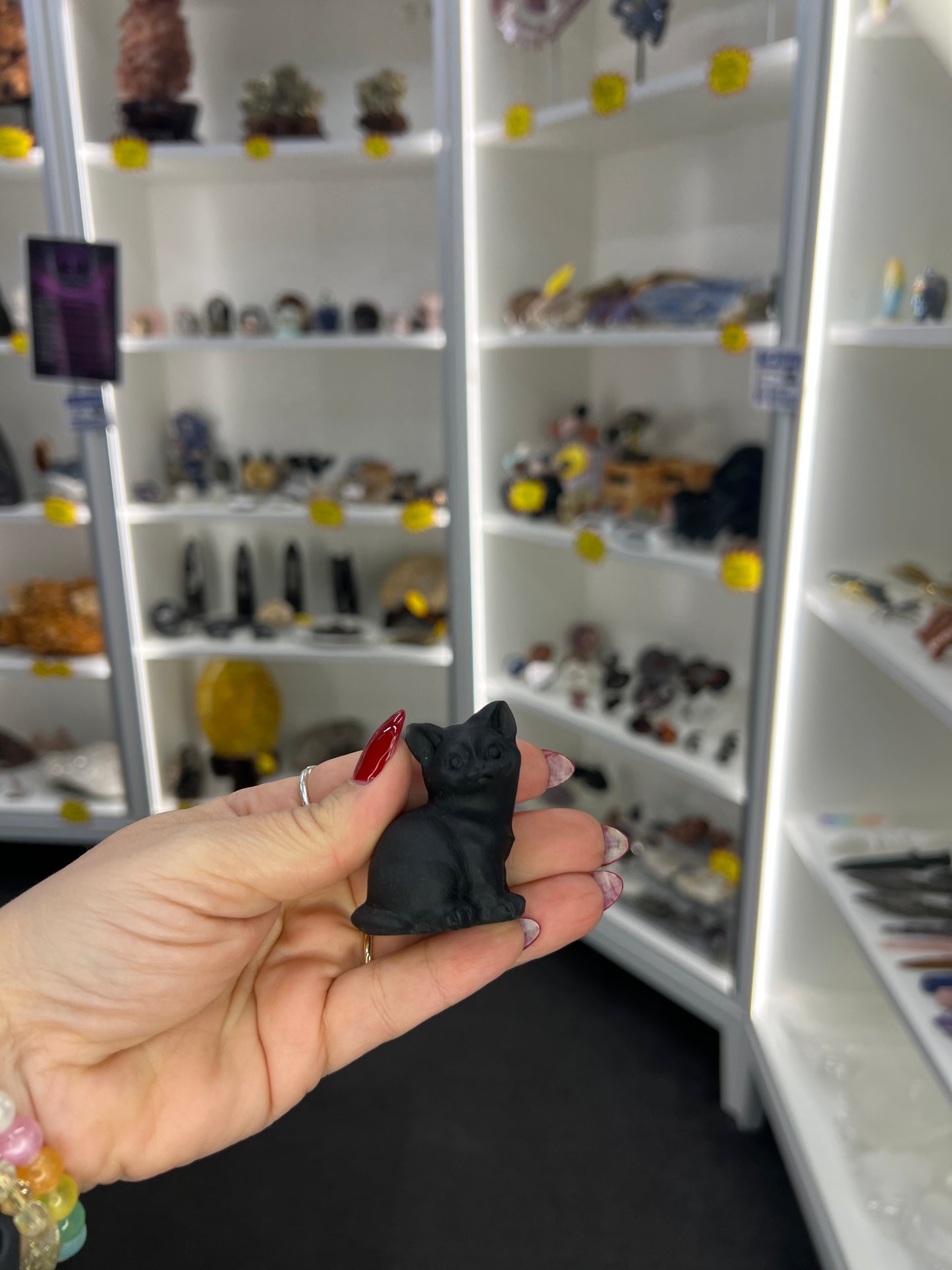 Black Obsidian Cat