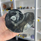 Goniatite Plate