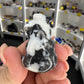 Zebra Jasper Cow