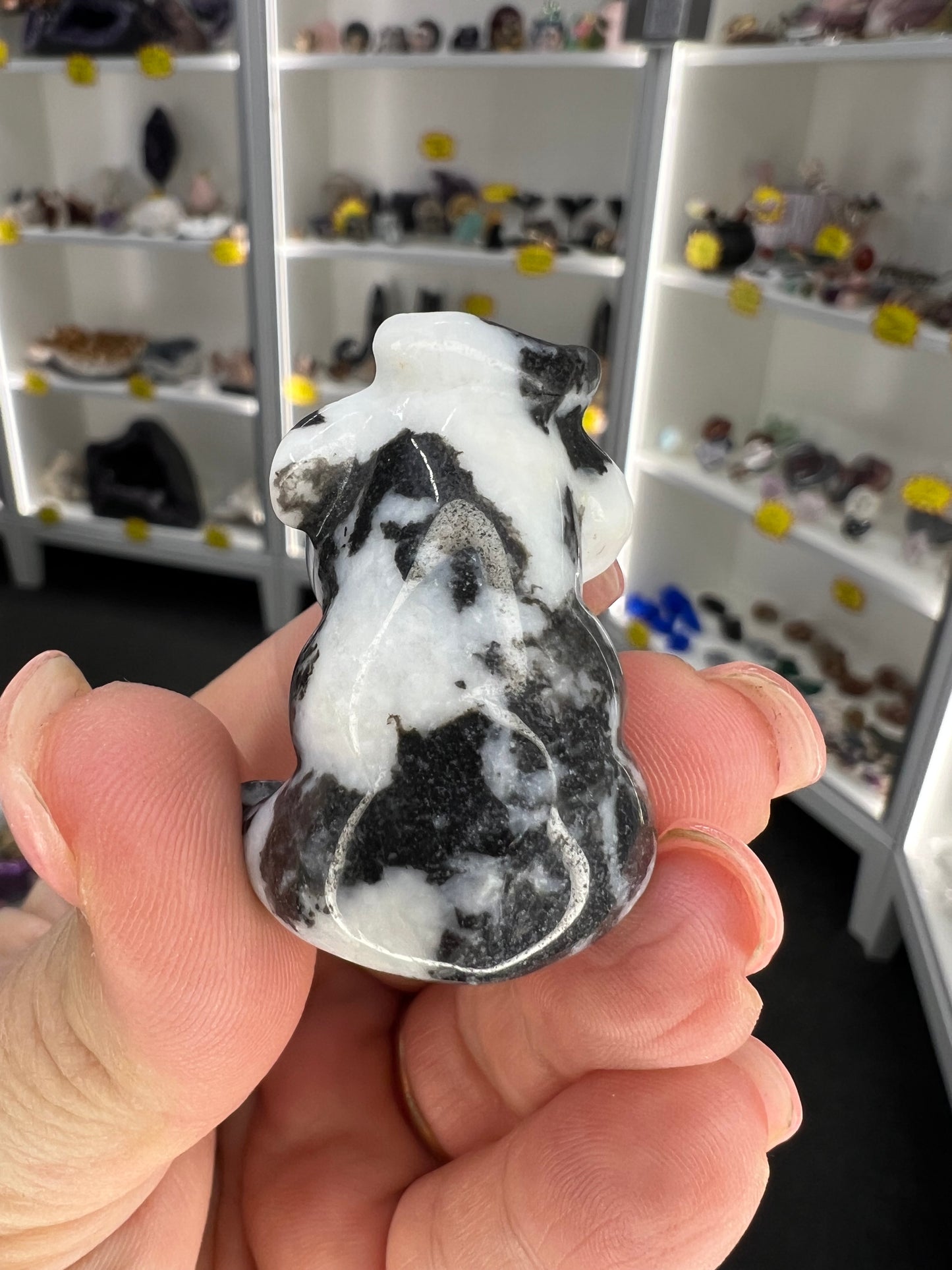 Zebra Jasper Cow