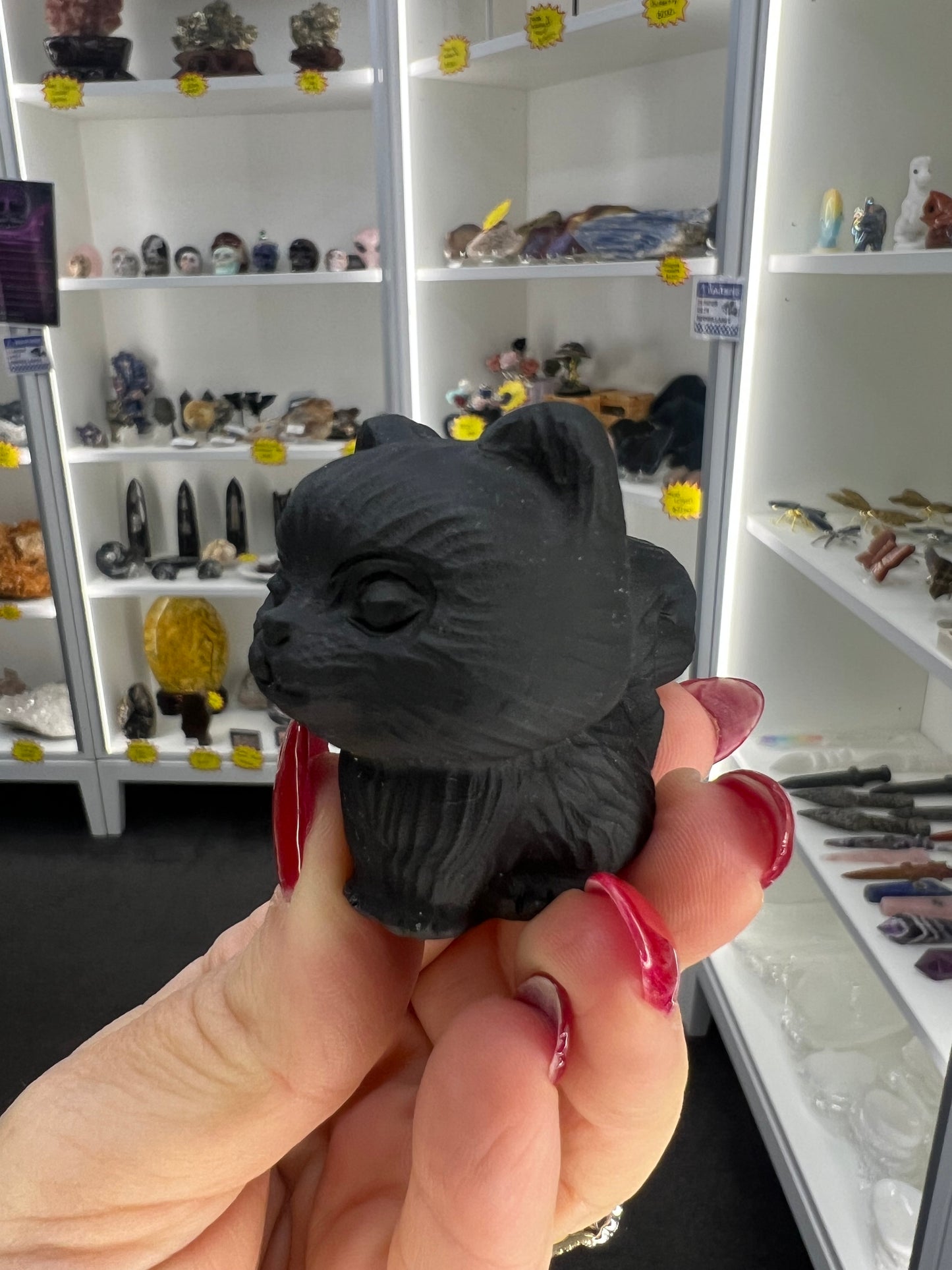 Black Obsidian Cat