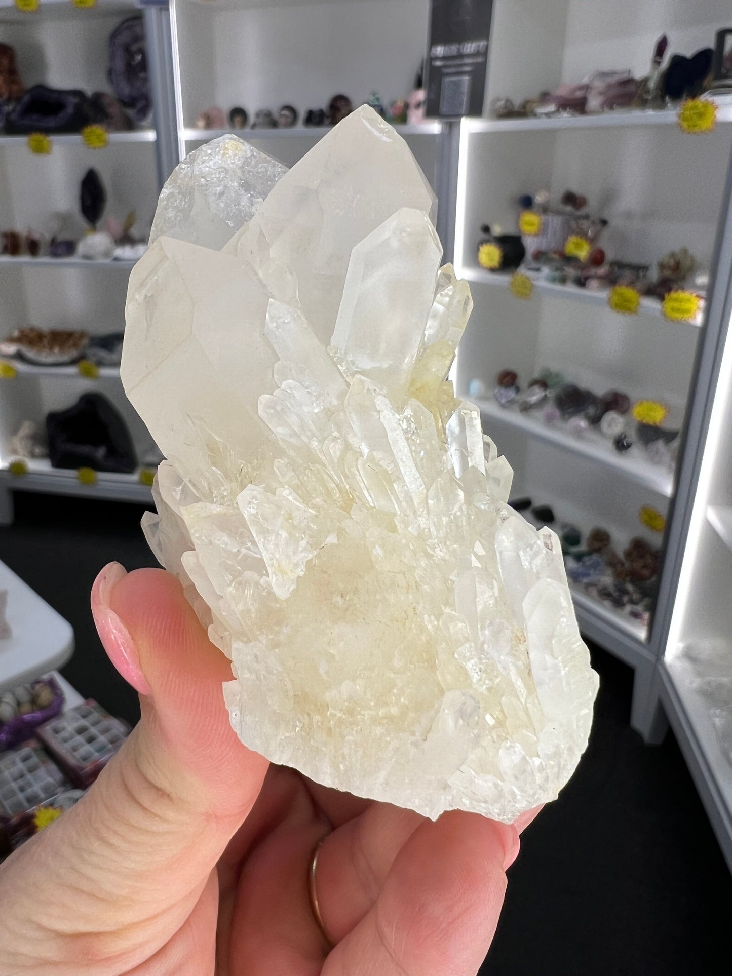 Clear Quartz Cluster