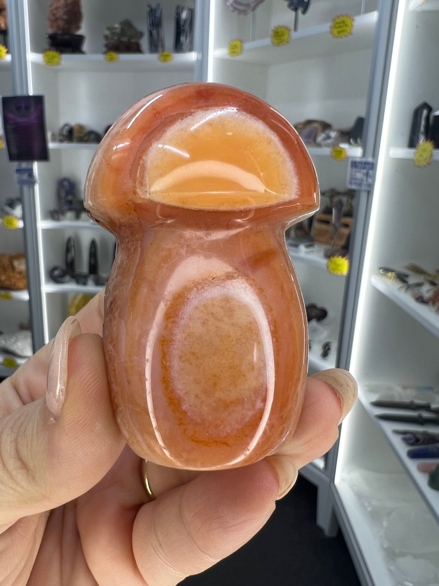 Carnelian Mushroom