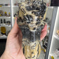 Picture Jasper Dinosaur Skull