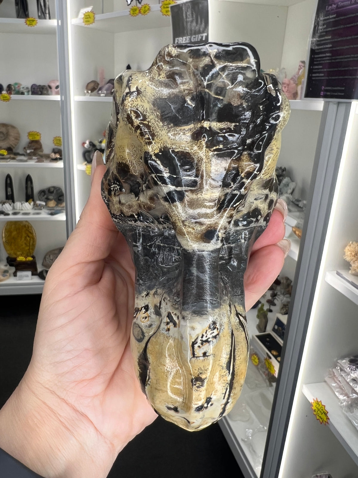 Picture Jasper Dinosaur Skull