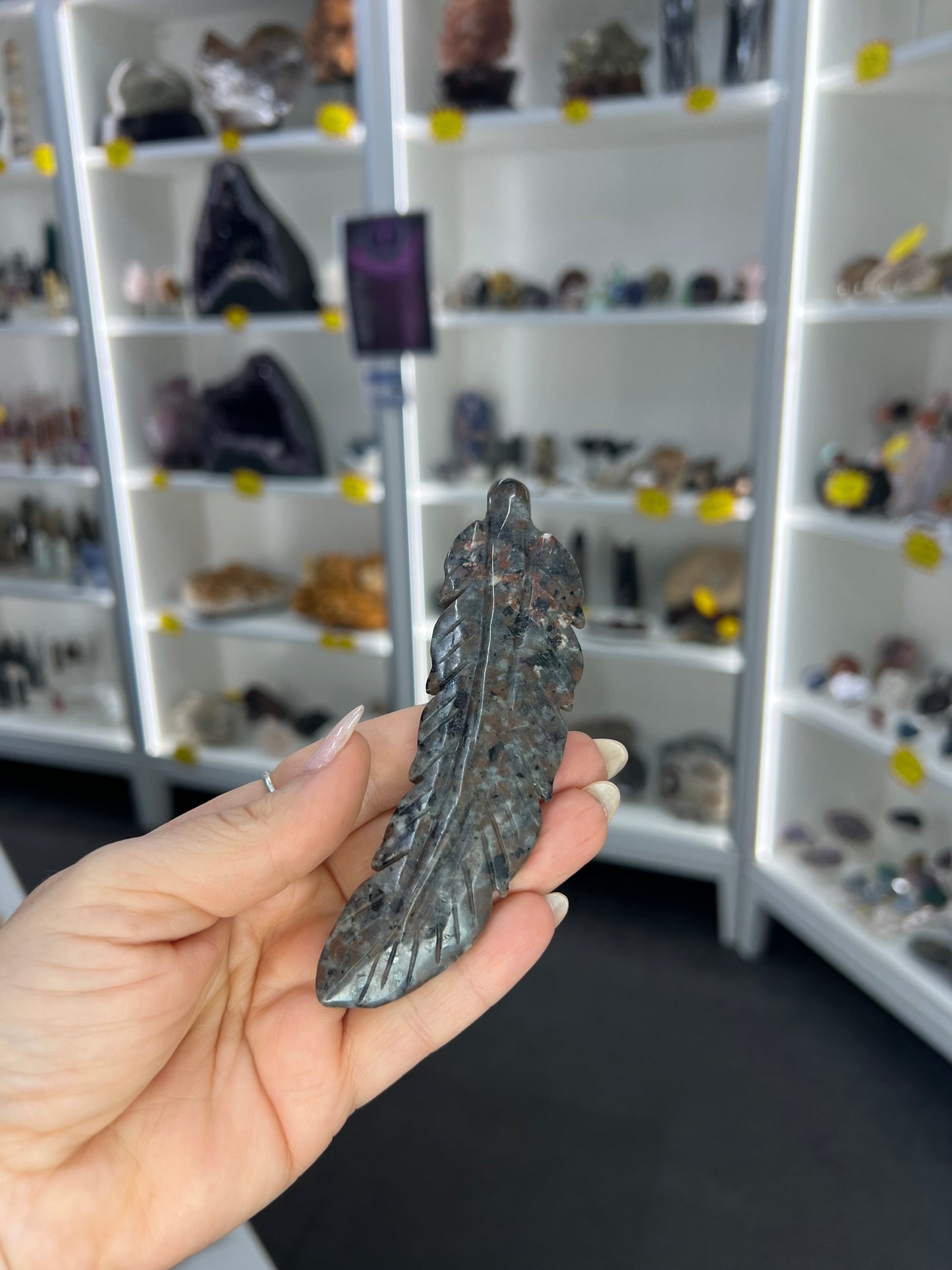 Yooperlite Feather