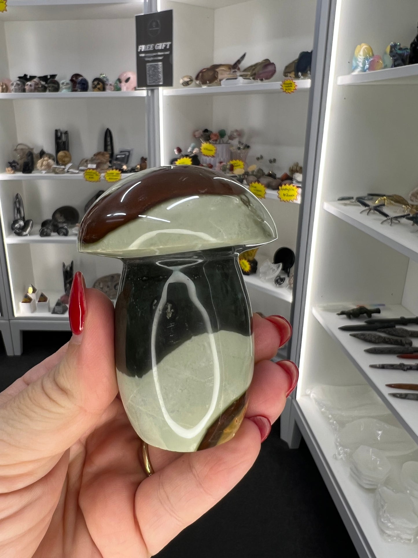 Polychrome Jasper Mushroom