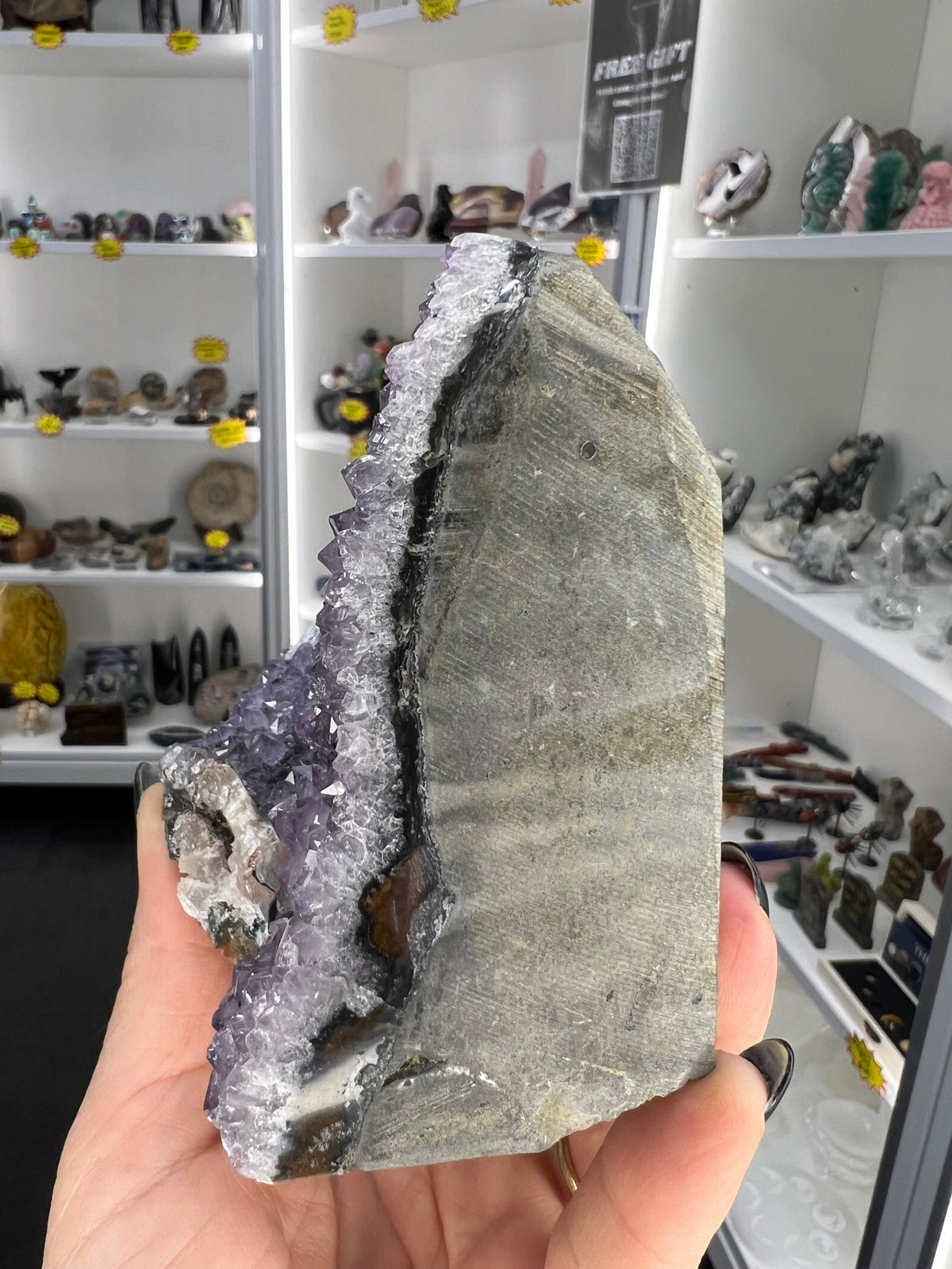 Amethyst Cluster Specimen