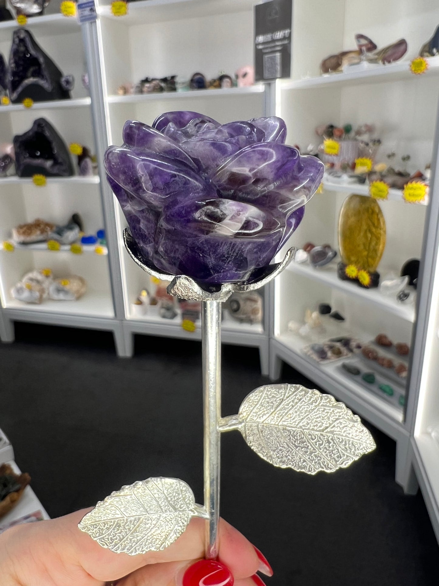 Chevron / Dream Amethyst Forever Rose