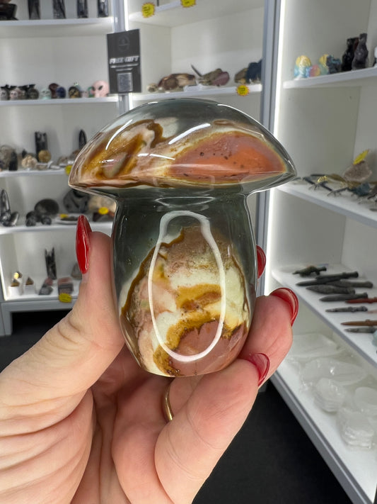 Polychrome Jasper Mushroom