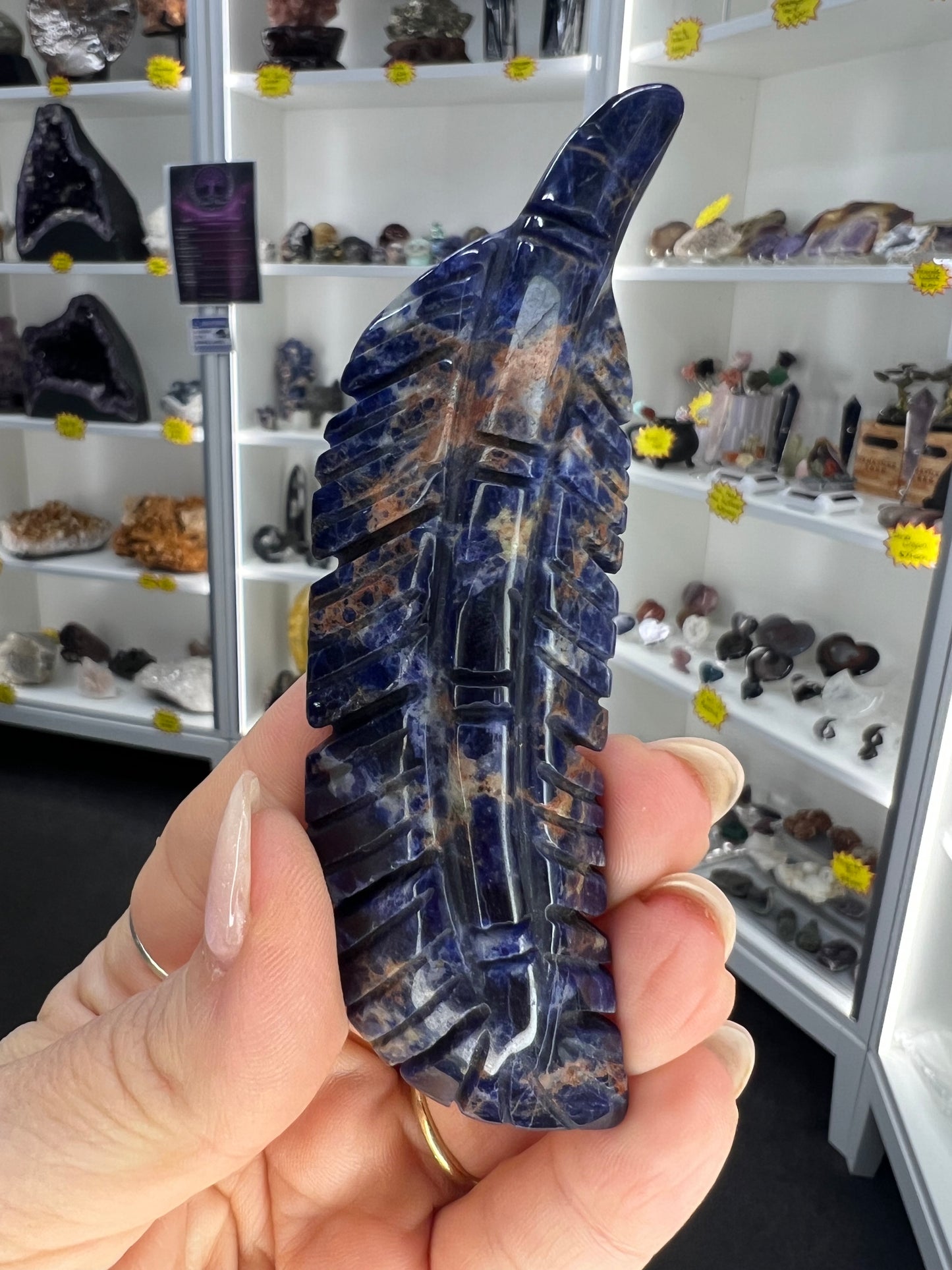 Sodalite Feather