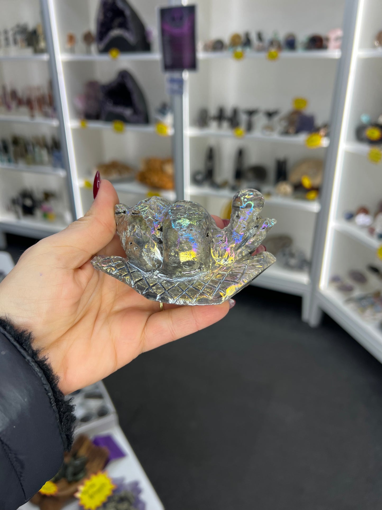 Aura Sphalerite Snail