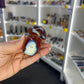 Carnelian Mushroom