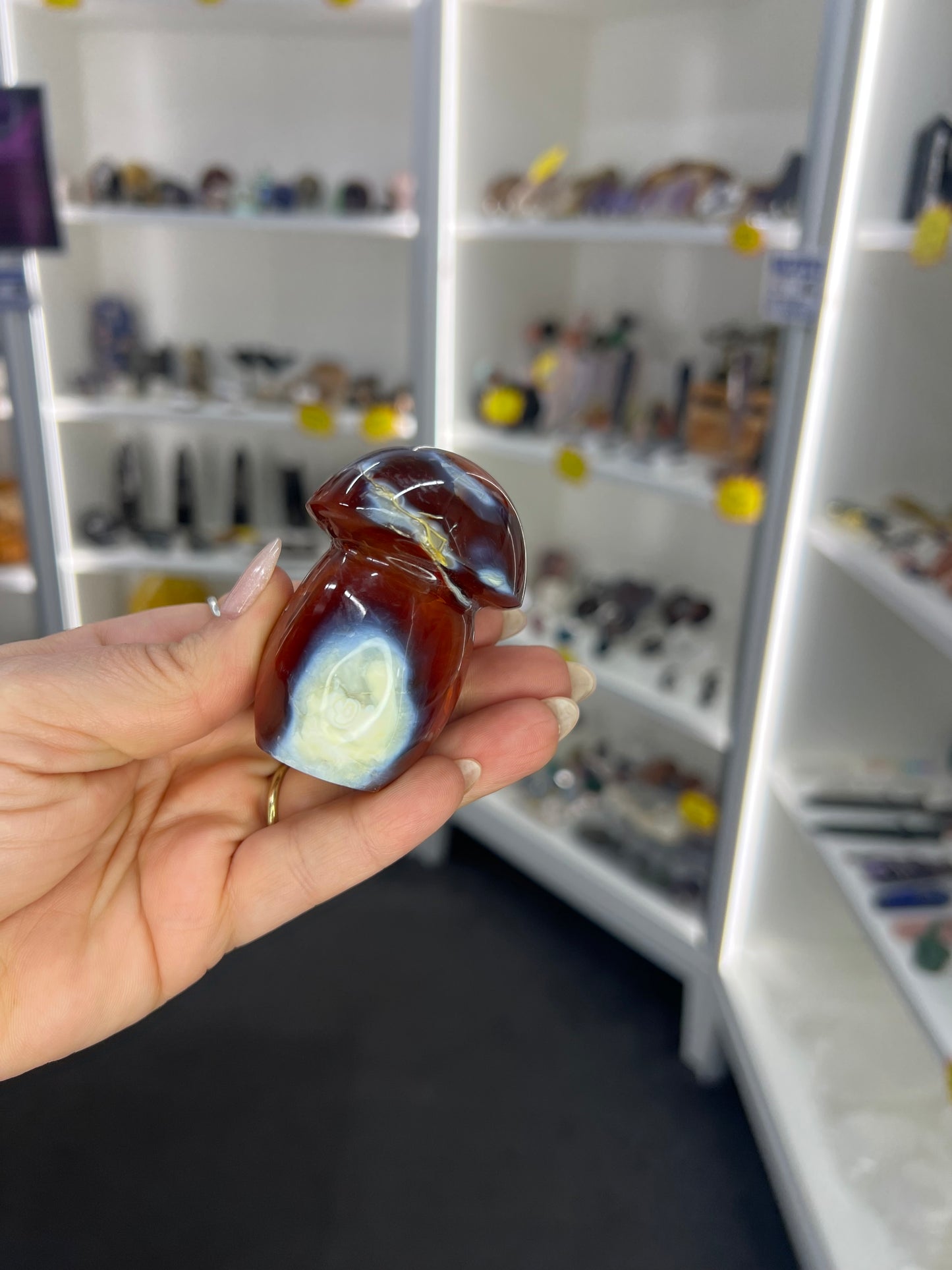 Carnelian Mushroom