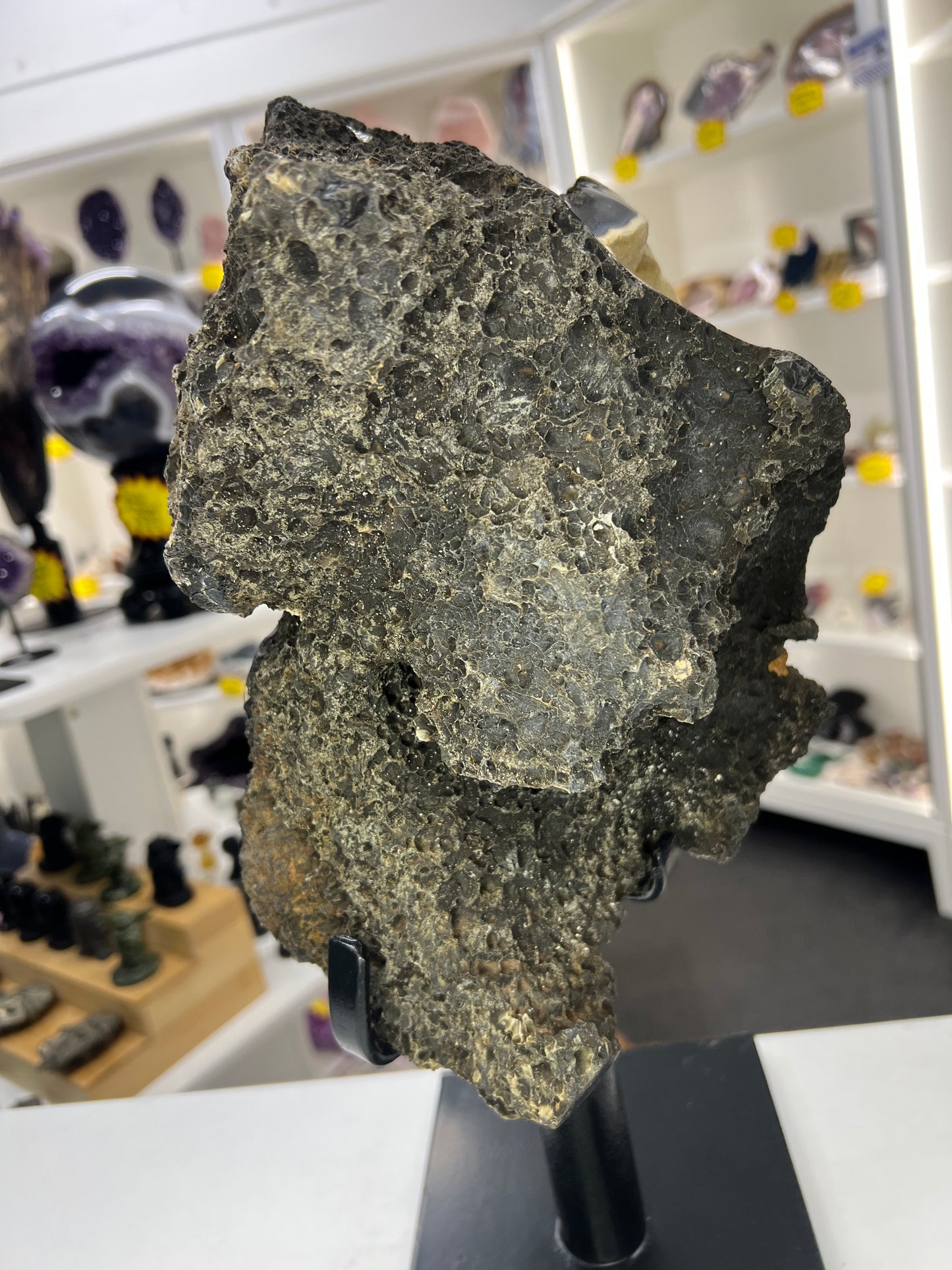 Super Rare Black Chalcedony on Metal Stand