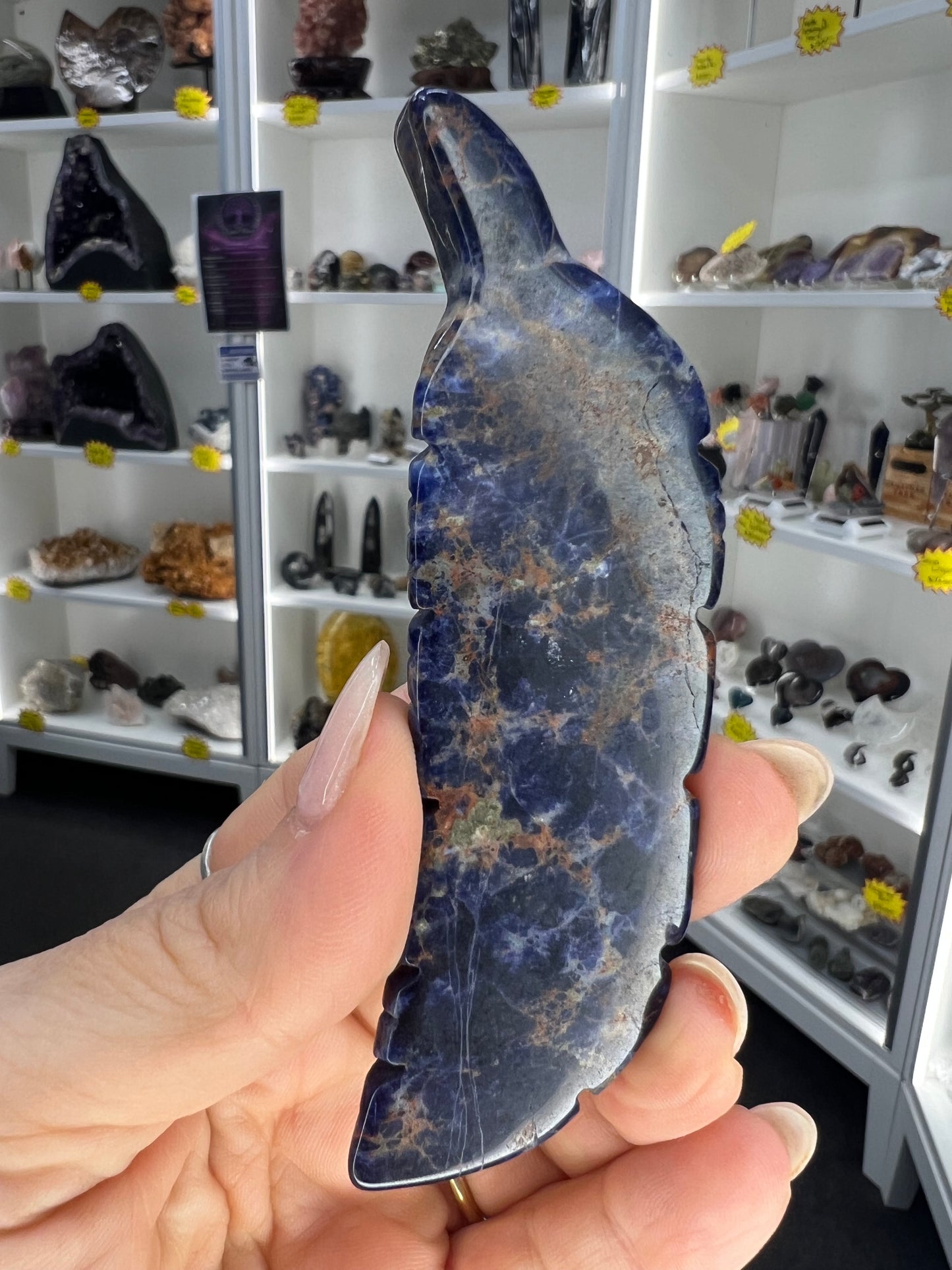 Sodalite Feather