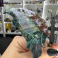 Ocean Jasper Butterfly