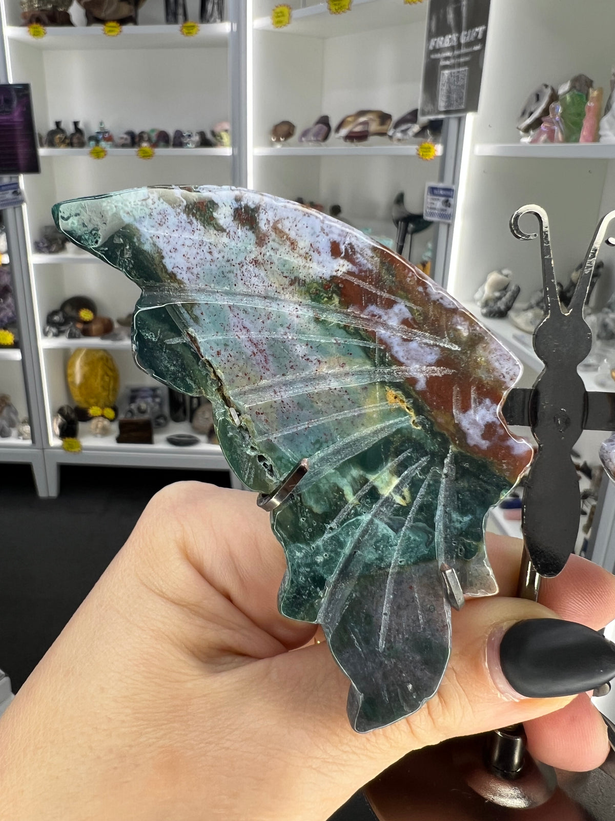 Ocean Jasper Butterfly