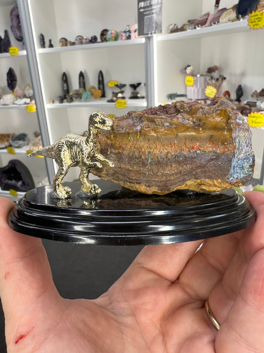 Boulder Opal with Dinosaur