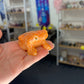Sunstone Frog