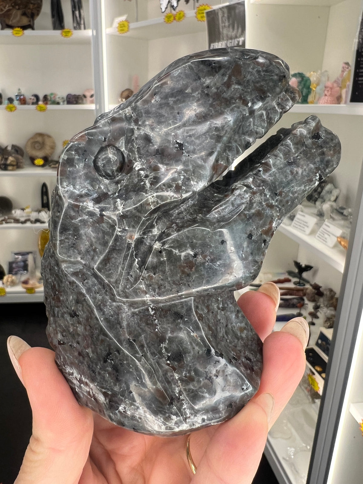 Yooperlite Dinosaur Head (UV Reactive)