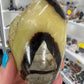 Septarian Freeform
